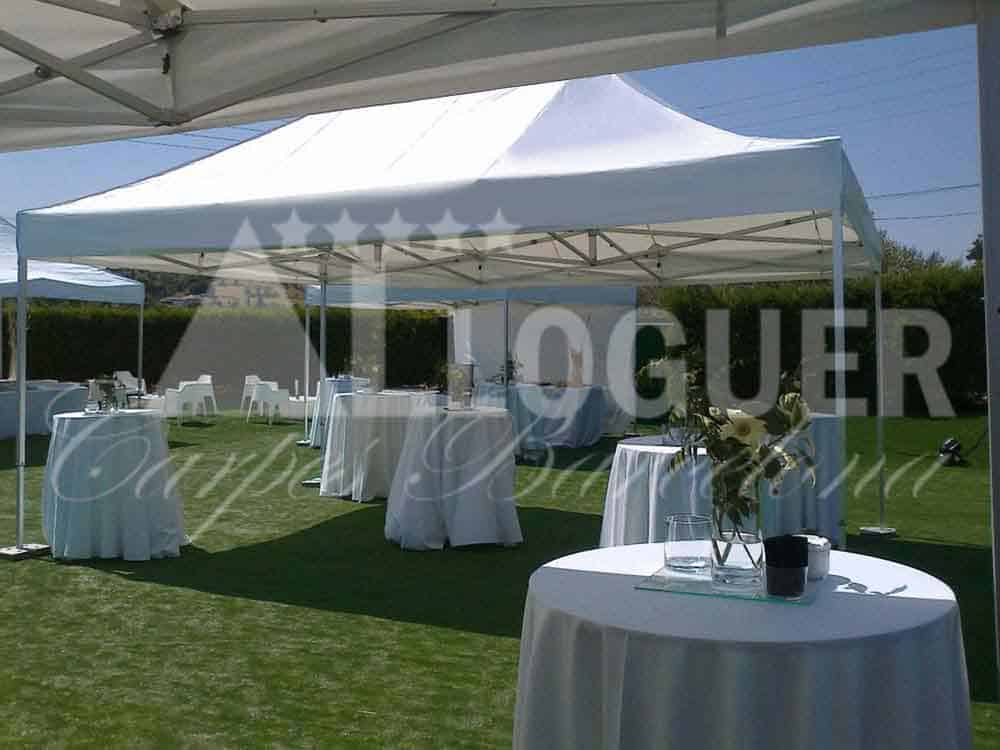 Lloguer de carpes per festes