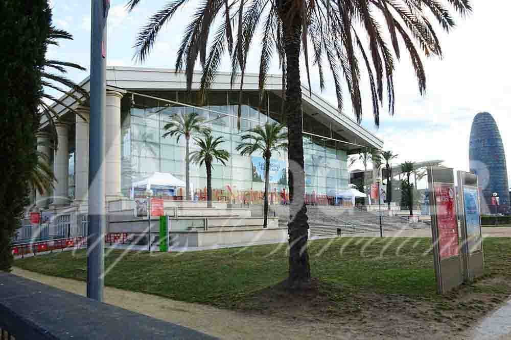 Carpes de 6x4 de lloguer