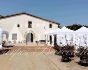 Lloguer de carpes per festes