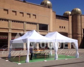 Carpes per fires de lloguer