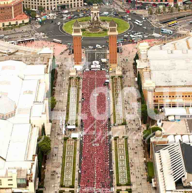 Carpes Barcelona de lloguer