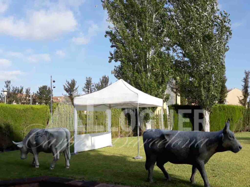 Carpes de lloguer per events