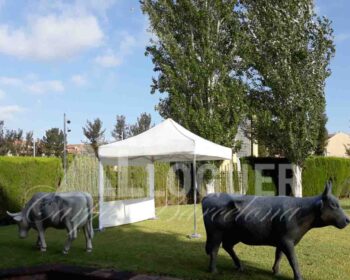 Carpes de lloguer per events