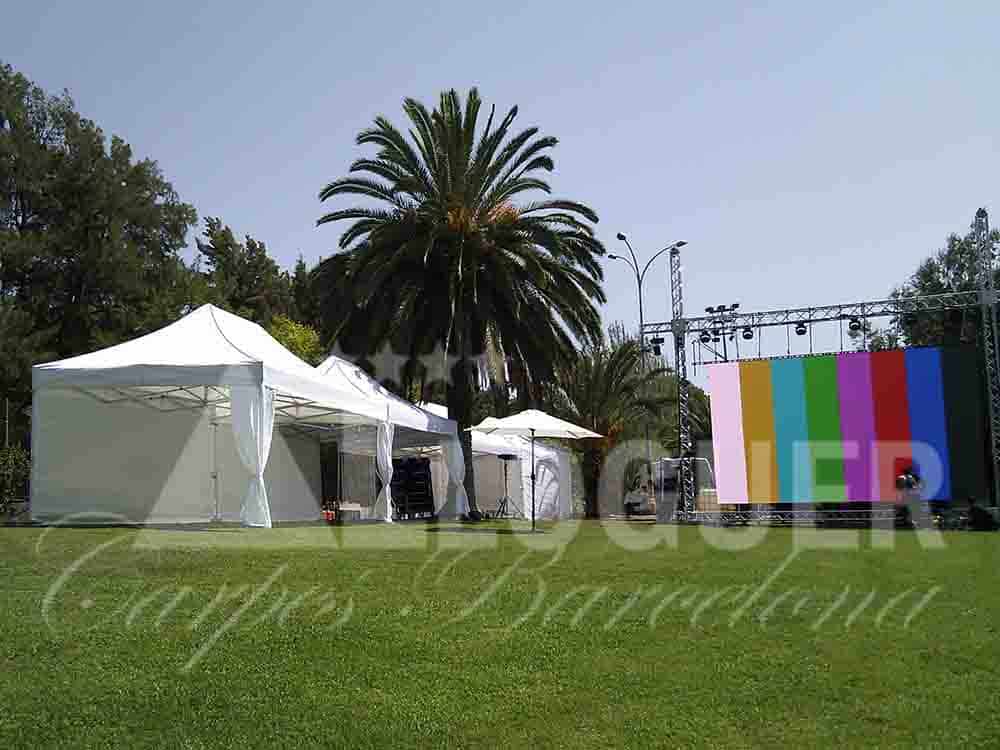 Carpes blanques per festes