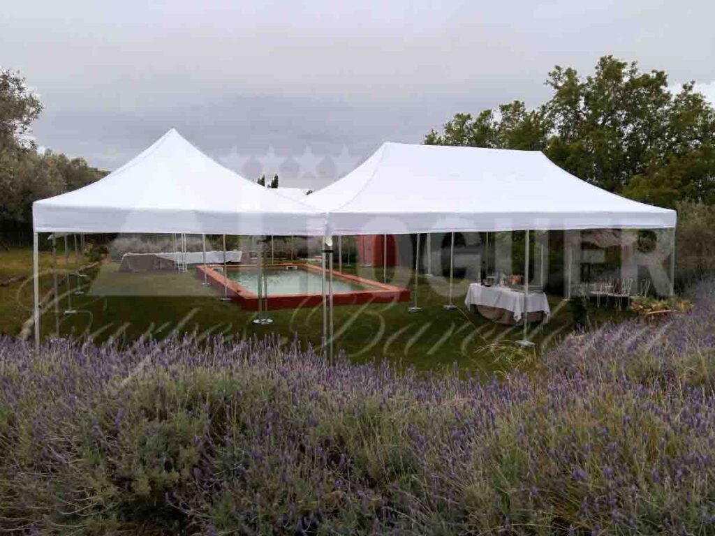 Carpes blanques de 8x4