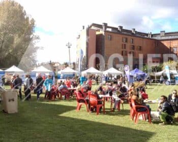 Lloguer de carpes per fires