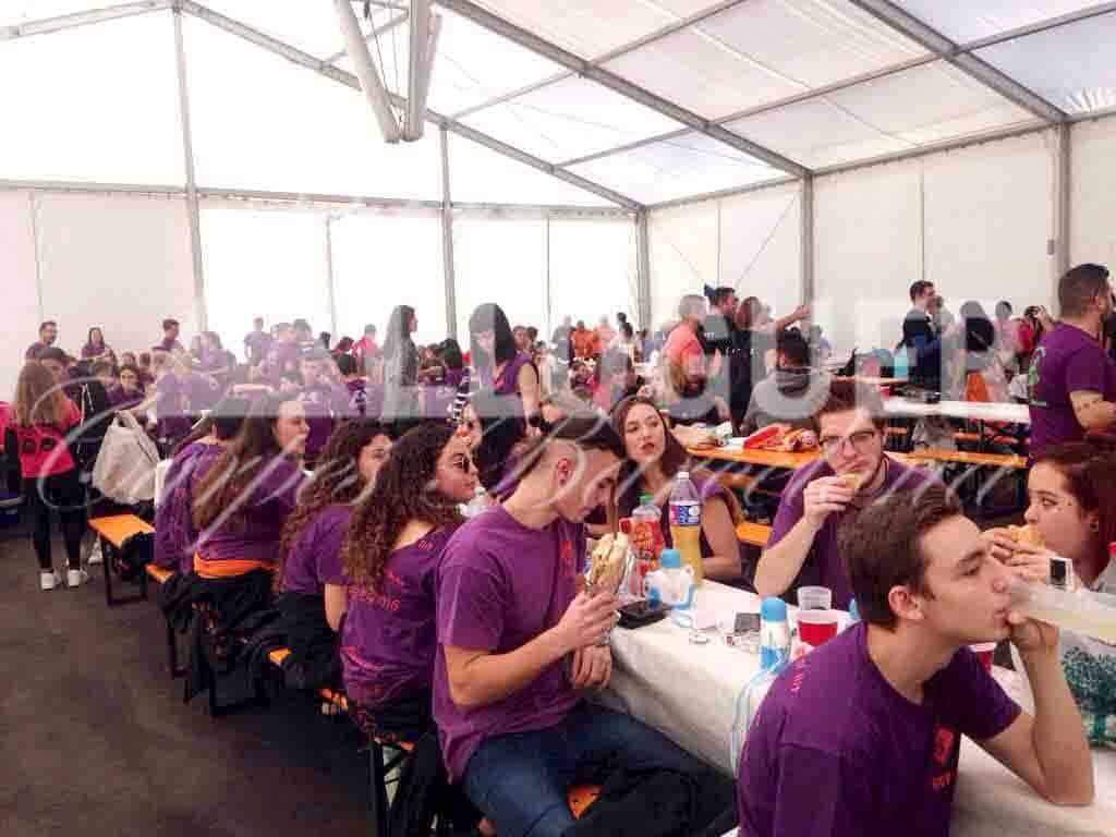 taules plegables per festes